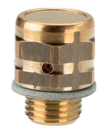 Exemplary representation: Brass filler plug